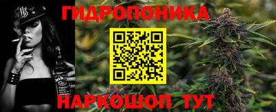 apvp Тверь